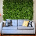 Zeleni zid PAPRAT, 40x60 cm