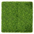 Zeleni zid - zeleni zid BUXUS, 40x60 cm