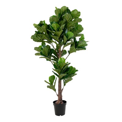 Fiddle Leaf Tree, 93x81 cm, zelena