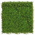 Zeleni zid - zeleni zid DJETELINA, 40x60 cm