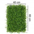 Zeleni zid - zeleni zid ROKIETNIK, 40x60 cm