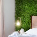 Green wall - zeleni zid TREPAVICE, 40x60 cm