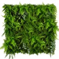 Zeleni zid - zeleni zid LEAFY FROND, 50x100 cm