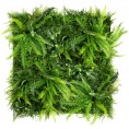 Zeleni zid - DIVLJA PAPRAT zeleni zid, 50x100 cm