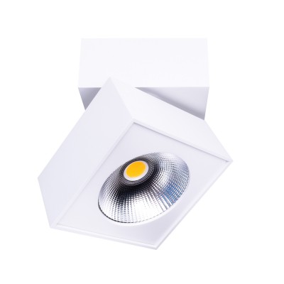 LED stropna svjetiljka ARTU C0106, bijela/krom