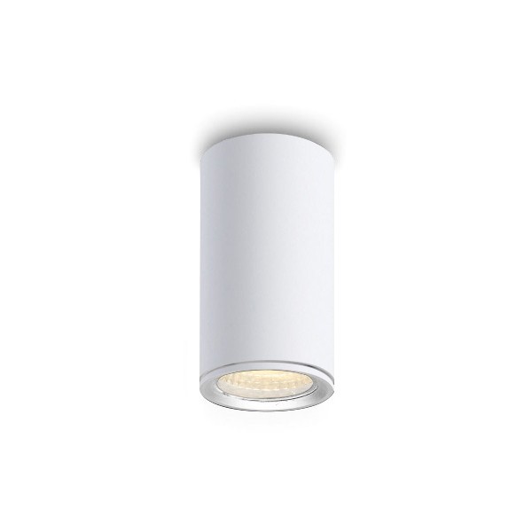 Vanjska stropna svjetiljka LEJA 183 L, bijela
