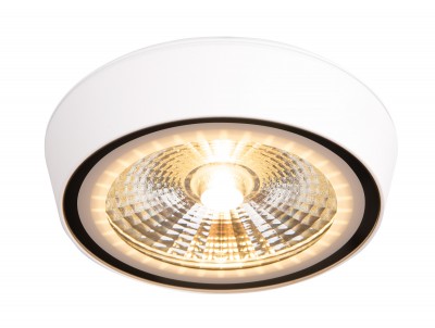 LED stropna svjetiljka CHARON C0207, bijela