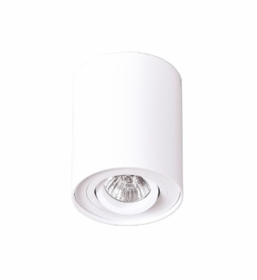 Stropna lampa BASIC ROUND C0067, bijela