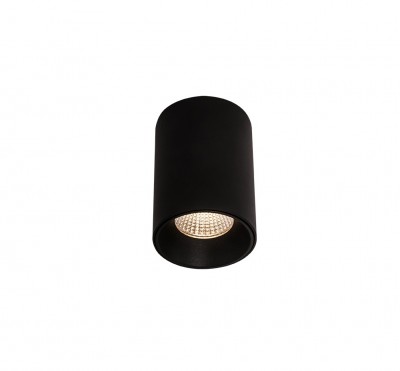 LED stropna svjetiljka CHIP C0161, 3000 K, crna