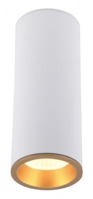 LED stropna svjetiljka LONG C0153, bijela
