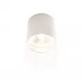 Maxlight Fusion