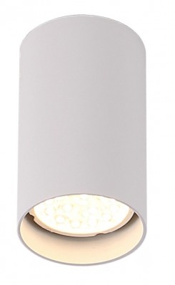 Stropna lampa PET ROUND C0141, bijela