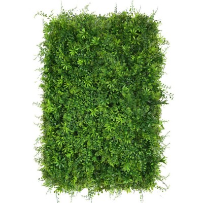 Zeleni zid - PRZYTULIA zeleni zid, 40x60cm