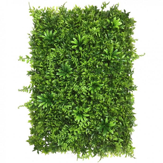 Green wall - zeleni zid PASSIFLORA, 40x60cm