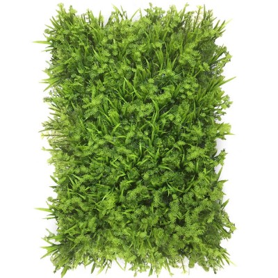 Zeleni zid - zeleni zid FENKUL, 40x60 cm