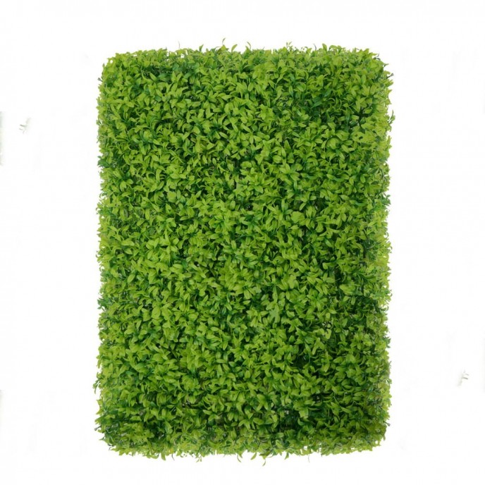 Zeleni zid - zeleni zid BUXUS, 40x60 cm