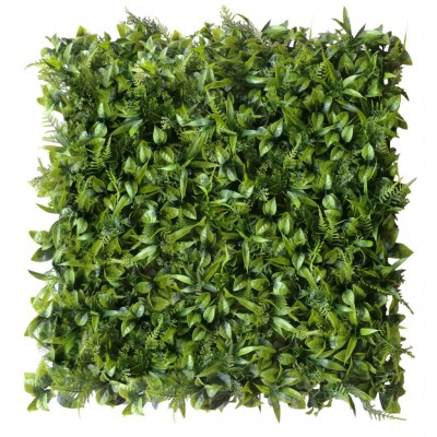 Zeleni zid - PEPEROMIA zeleni zid, 50x50 cm