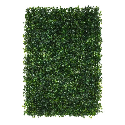 Zeleni zid - zeleni zid BOXWOOD, 40x60 cm