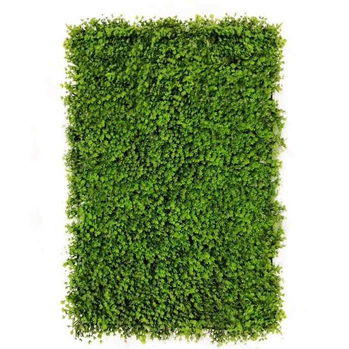 Green wall - zeleni zid TREPAVICE, 40x60 cm