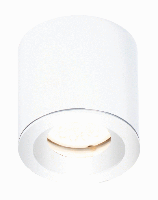 Stropna svjetiljka FORM C0215, IP65, bijela