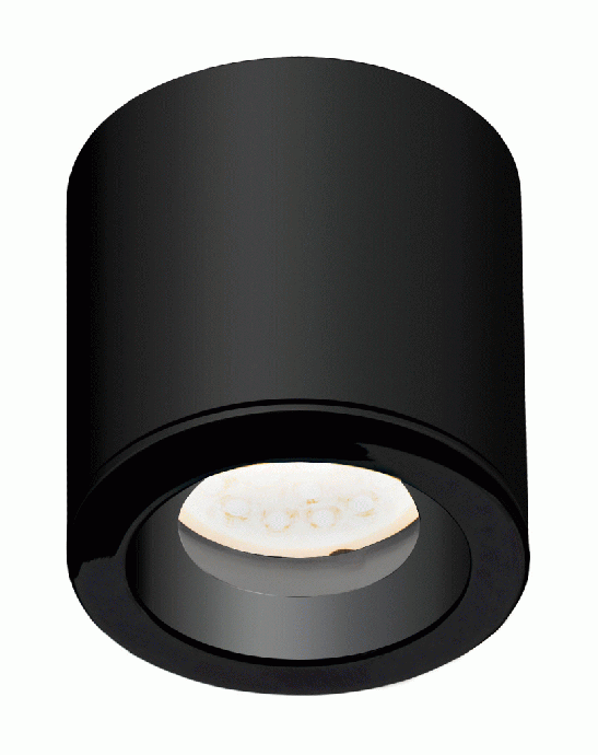 Stropna svjetiljka FORM C0216, IP65, crna
