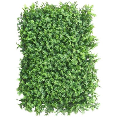 Green wall - zeleni zid TUJA, 40x60 cm