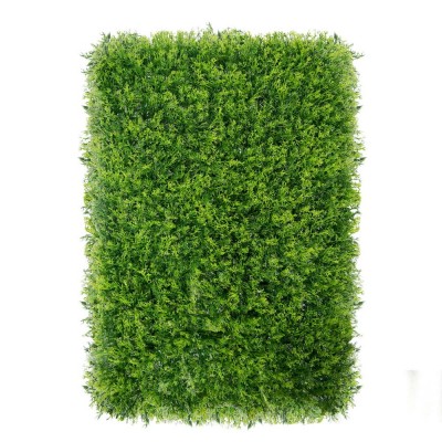 Zeleni zid - zeleni zid RENIFERINA, 40x60 cm