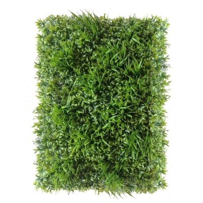 Green wall - RUSKUS zeleni zid, 40x60cm