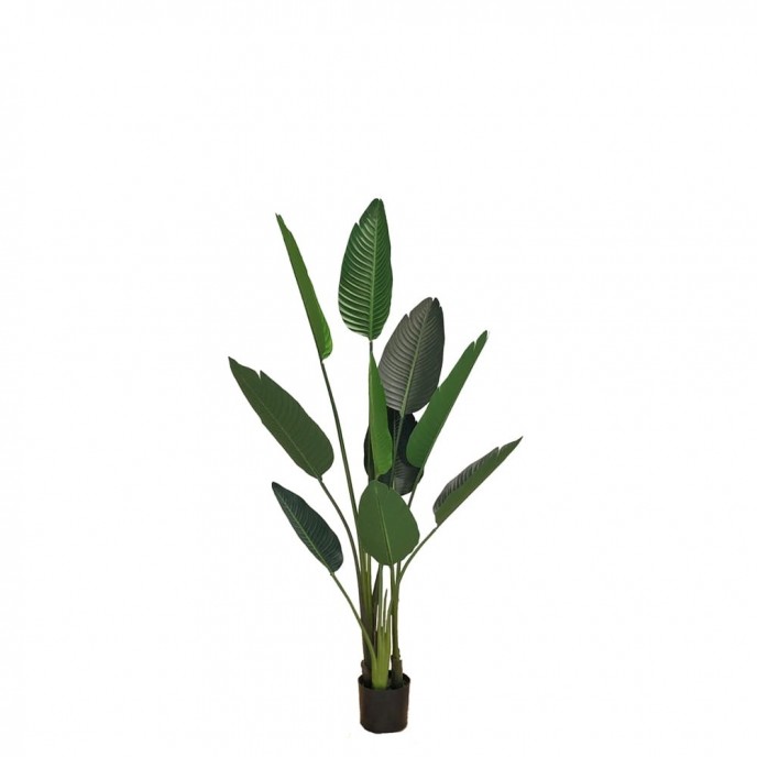 Umjetna biljka STRELICIJA M u loncu 155 cm
