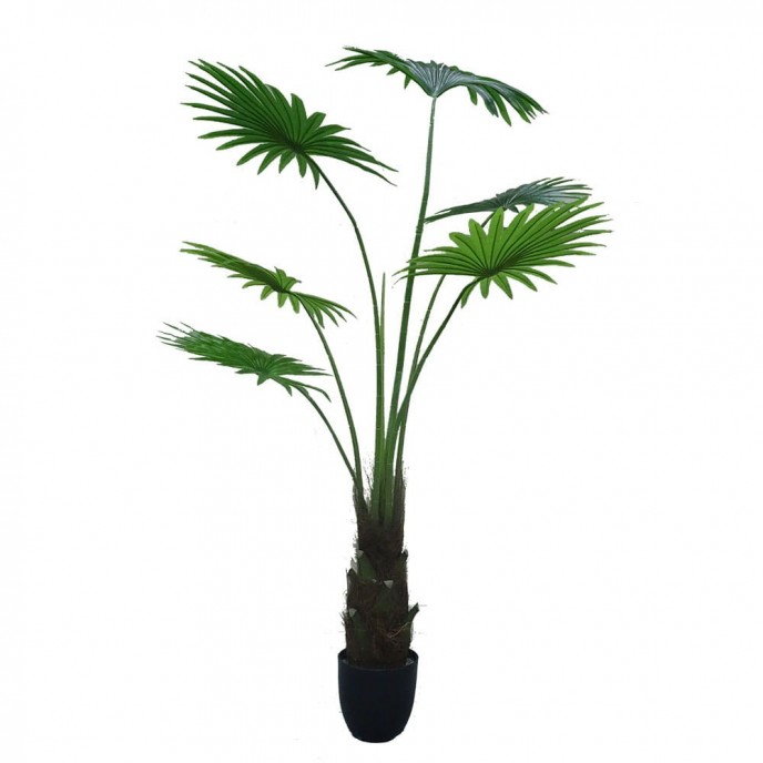 Umjetna biljka WASHINGTONIA ROBUSTA, 160 cm
